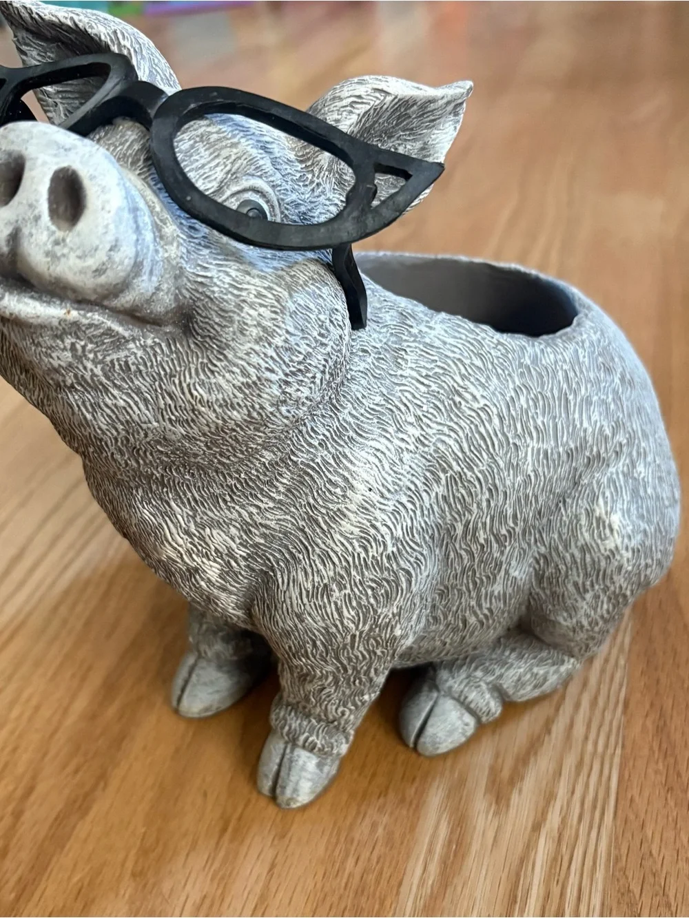 Whimsical Gray Pig Planter with Black Glasses Accent Roman’s Pudgy Pals